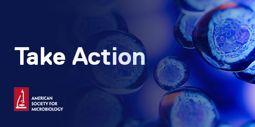ASMicrobiology's tweet photo. Thank you @SenatorBaldwin and @SenatorBurr for your outstanding leadership and unwavering support for microbiology. Your work to bolster the field &amp; public health will control the spread of disease &amp; save lives. #ASMAdvocacy @ASMicrobiology #ASMicrobe https://t.co/5oWZMxlWoM