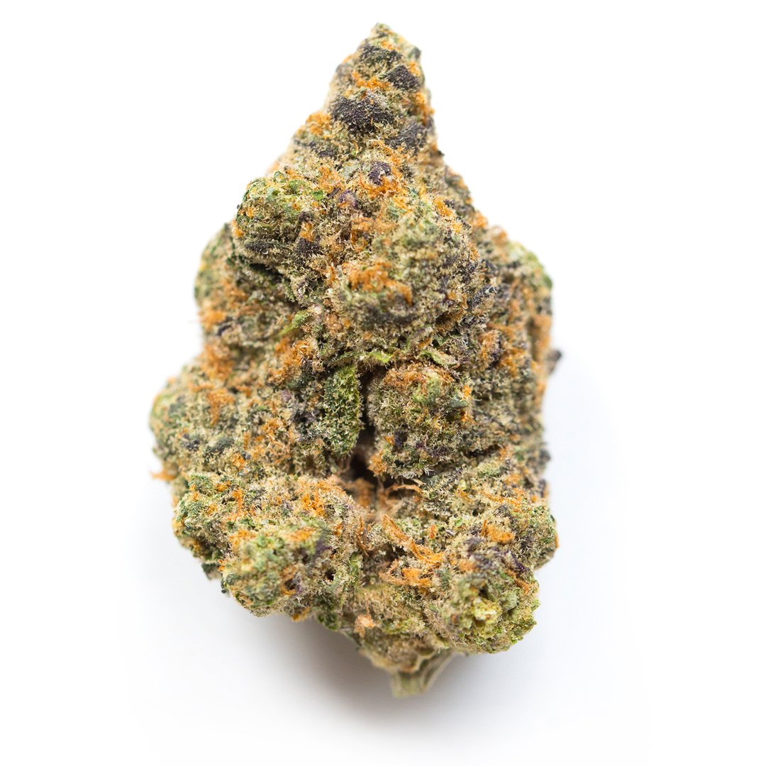 SmokingBC's tweet photo. Bruce Banner is a hybrid weed strain with dense nugs and THC content that packs a punch. Effects will linger in the head and may provide body relaxation. Bruce Banner is best enjoyed during the daytime
#weed #NFTs #NFTCommunity #NFTProject #WeedNFT #NFTartist #nftart #NFTGiveaway https://t.co/erFu0XFsoV