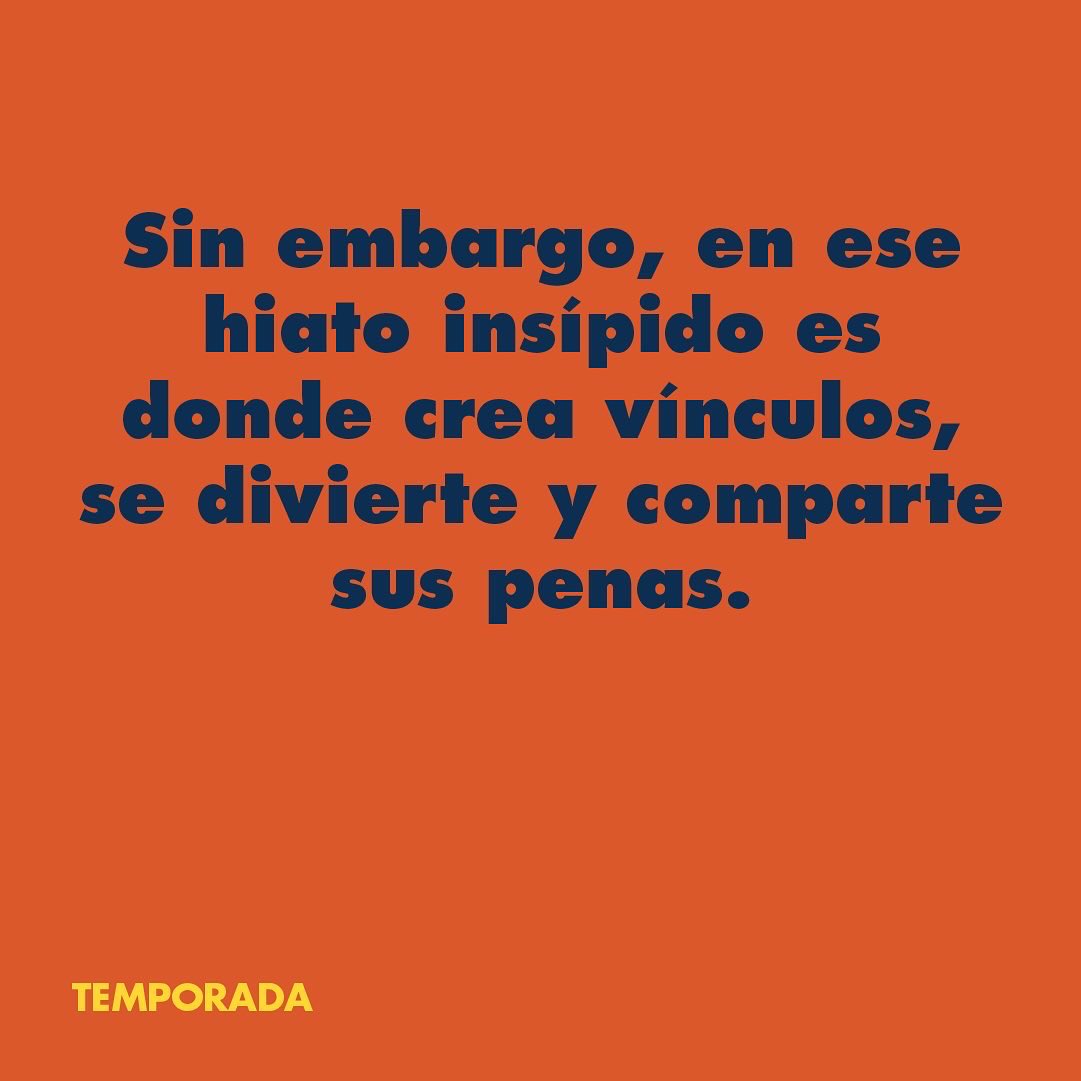 KINOA.TV tweet media