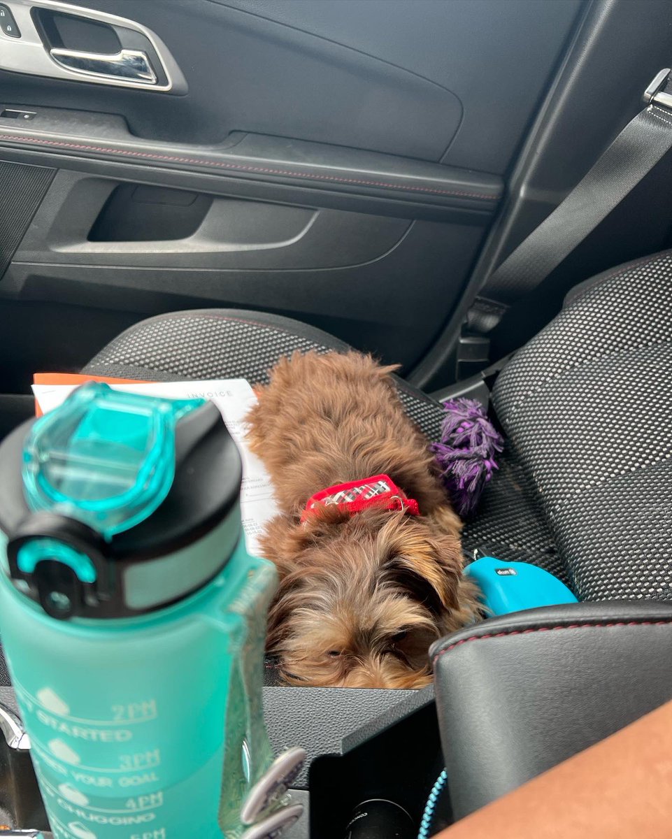 Jacquelyn2442's tweet photo. Now introducing Rocky Alexander ❤️ https://t.co/cGcBMUgAAO