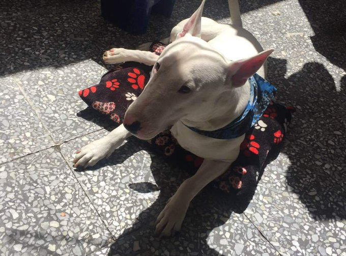 This is My boy ❣️ https://t.co/dRbGf6P7UF<a href="/tag/nudes"class="tags"><span>#nudes</span></a><a href="/tag/hotboobs"class="tags"><span>#hotboobs</span></a><a href="/tag/onlyfansmodel"class="tags"><span>#onlyfansmodel</span></a><a href="/tag/onlyfansbabe"class="tags"><span>#onlyfansbabe</span></a>