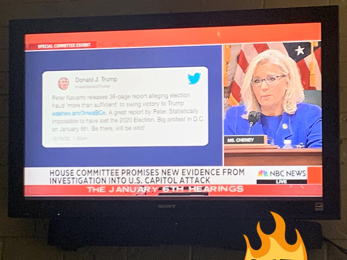JaniceShokrian's tweet photo. Go Liz!  #TrumpInsurrection https://t.co/fRjTdO5IkV
