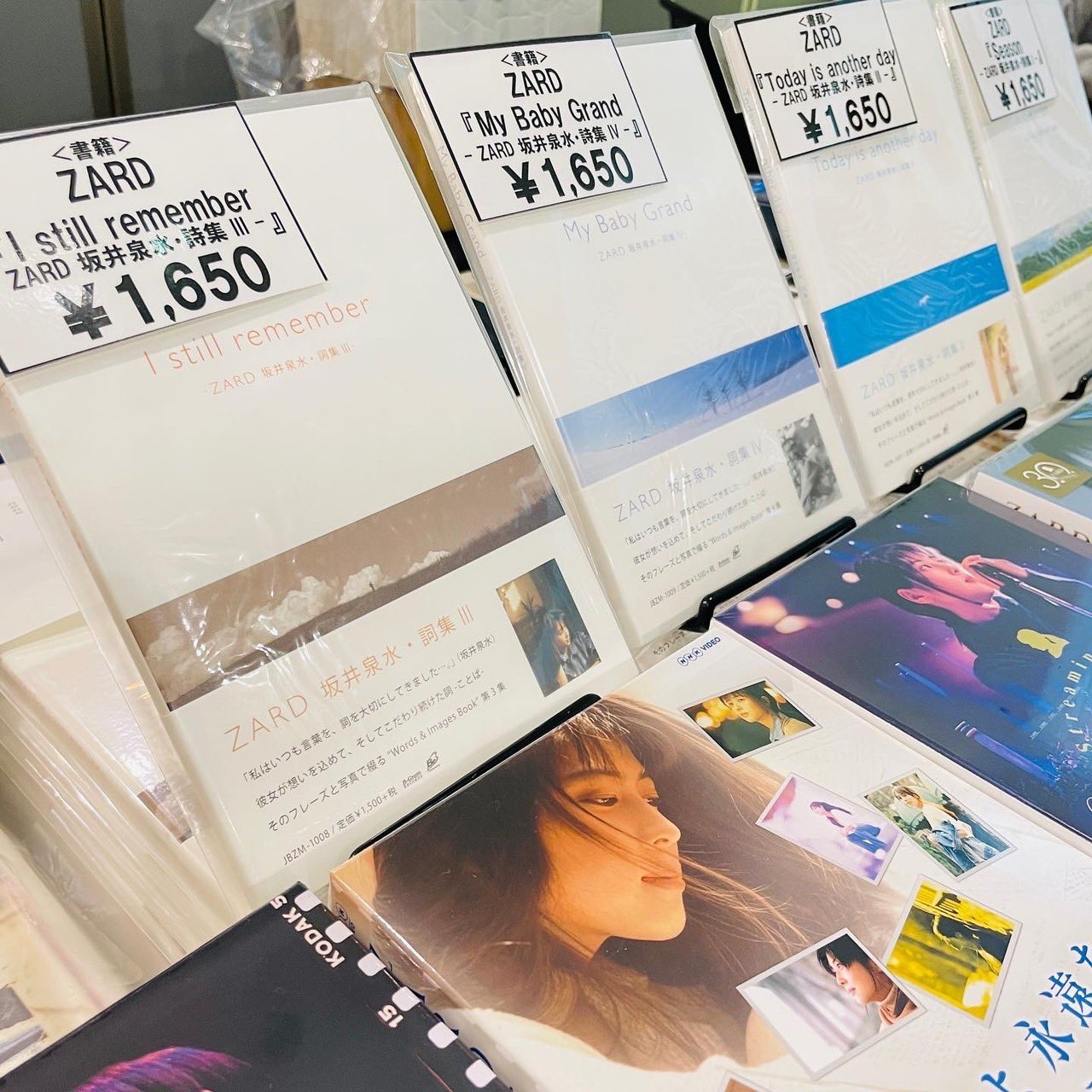 新品未開封　ZARD MUSEUM 公式図録　パンフレット Amazon.co.jp: ZARD Izumi Sakai 