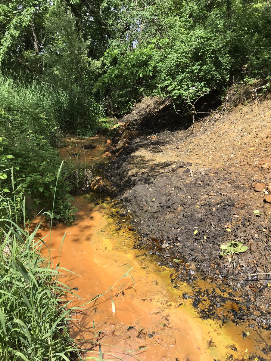 A stream adjacent to an old Pb/Zn mine in Cuba City, WI. A roaster was also at this site to process the ore. Tailings have been removed and the area was reseeded but according to pXRF and the color of the stream levels are still very high! #zinc #lead #soilcontamination