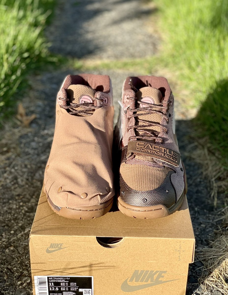 Cactus Air Trainer 1
