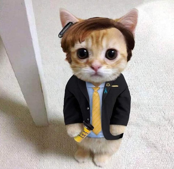 ArchicoolM's tweet photo. @memesiwish https://t.co/AWgfMmWQ1X