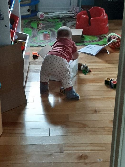 Le_Pofin's tweet photo. Ouin ben à 6 mois et d'mi... je sais pas ce qu'elle va faire à 2 ans... surement son sakado #teamNo5 https://t.co/V8caKlHDib