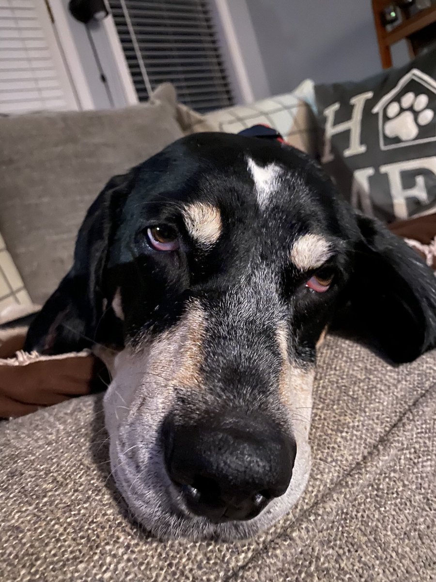 regisnolan's tweet photo. @Maggarooo Looking good…. https://t.co/wTu1HfW6bZ