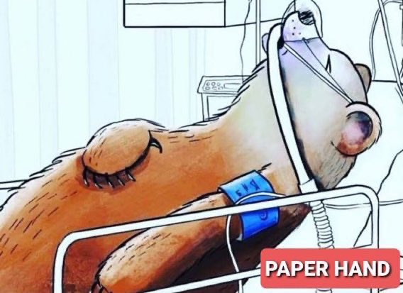 crypto messiah 🌞 tweet media