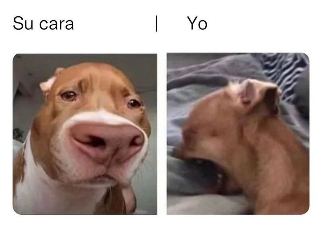 hectorfernandz_'s tweet photo. Mi hermano:
"Si te ries me estás mintiendo" https://t.co/XgoVMdIGAU