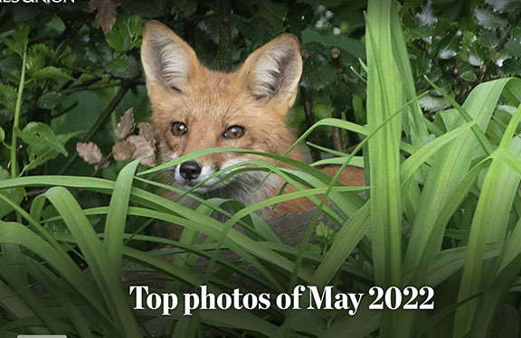 will waldron tweet media