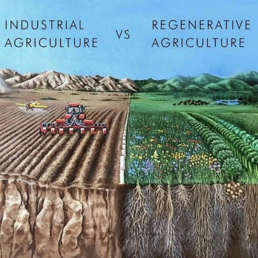 Kush Sareen SaveSoil On Twitter Note The Difference SaveSoil Https 