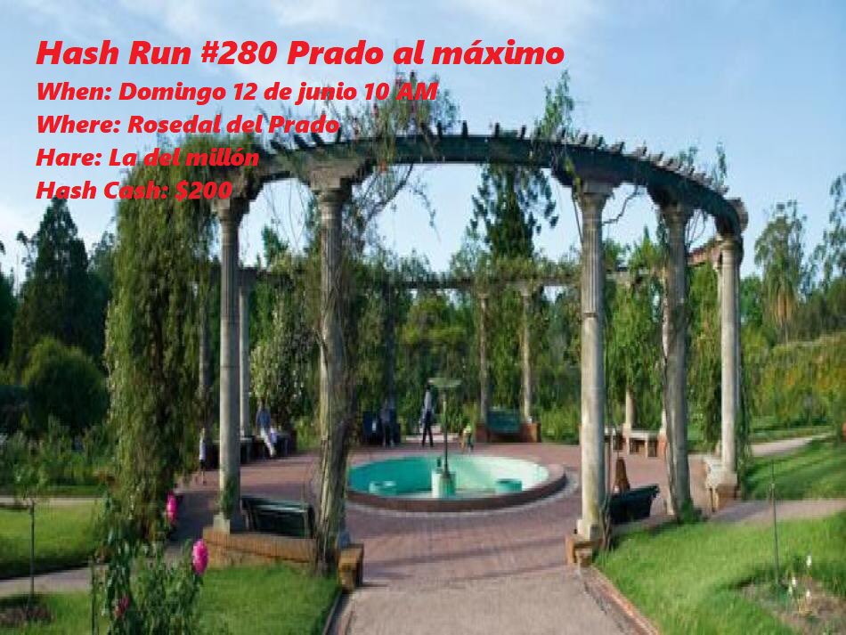 HashdeUruguay's tweet photo. Volvemos a correr, y será nuestro Hash Run 280º…
#HHH #H3
#HashHouseHarriers 
#Hashing https://t.co/4hOiJjMVC7