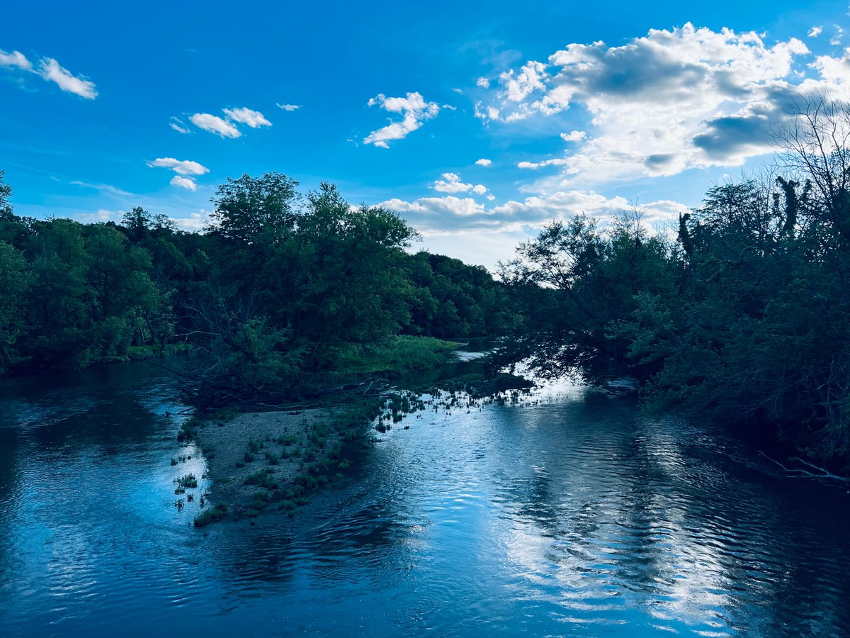 GabrielleTorina's tweet photo. Blackhawk Springs Forest Preserve - June 9, 2022 #815Outside 🌳🌳🌳🌳 https://t.co/Vwsng97Vpi