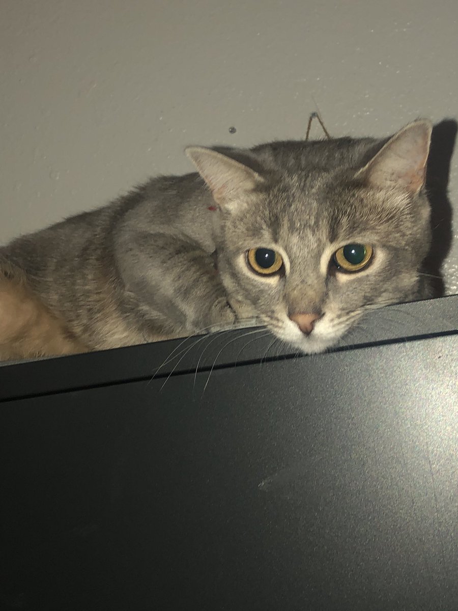 DeathOhBaby's tweet photo. @poisondaises || I give you the bois https://t.co/z2Qj1R6g4c