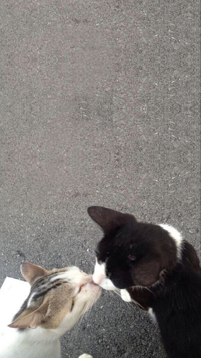 DanaL7outa's tweet photo. Maybe us ? https://t.co/WUfYh7T1FE