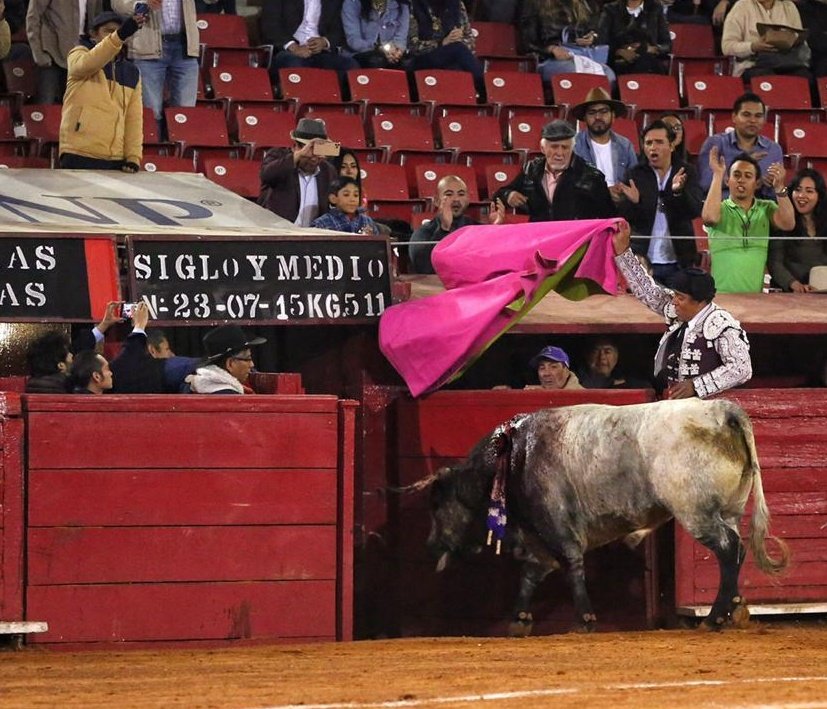 Taurinisimo's tweet photo. La Plaza de Toros es el último reducto, la última y nostálgica mirada del campo en la ciudad... el vínculo entre el humo de la contingencia citadina y la sanidad del toro en su ámbito natural del campo bravo. #TorosSí.
#CrecerseAlCastigo.
#CDMXTAURINA. https://t.co/HZ6Vc7bEwF