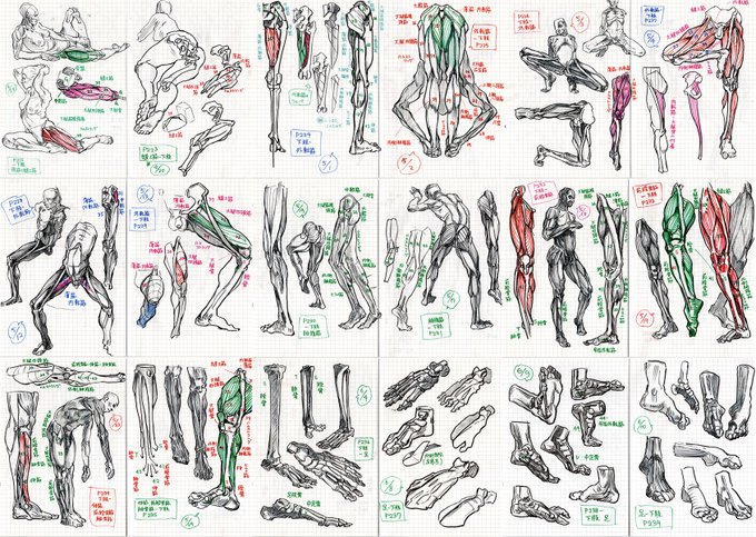 朝活でやってるモルフォ人体デッサン模写、足部に突入。つま先やかかとが、思っていたより形状が複雑で難しい。このあと12ページくらい足部が続くので、しっかり勉強しておきたいところ。 