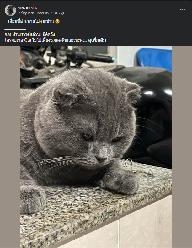 ฝากรี ดันแท็ก #ทวงคืนโชยุ

- โชยุ แมวสก็อตติชโฟลด์ สีบลู เพศผู้ 1 ขวบ
- หาย 05.30 วันที่ 2 พ.ค.หมู่บ้านสิริชัย จ.นครปฐม
- ตามหาจนรู้ว่าคนใกล้ชิดแอบนำไปขาย
- ทักไปขอซื้อแมวคืนในราคา 2หมื่น แต่ถูกปฏิเสธ
- คนซื้อไปไม่ขายคืนพร้อมบอกให้ไปฟ้องเอง บอกว่ารักน้องไม่ต่างกับเจ้าของเดิม