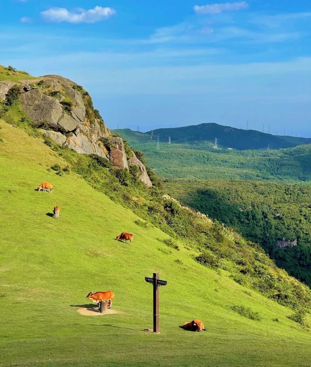 May you always feel secure and loved,and know you are the best.#NaturePhotography #photo #beautiful