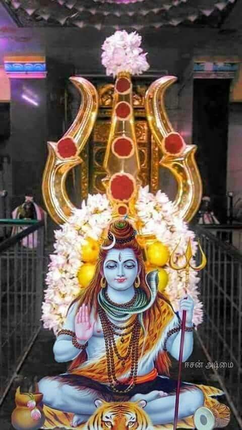 gunjan_rajbansh's tweet photo. I am #proud of #My smiling 
#face because of
#mahaadev only 
#My tomorrow _my_today 
#good morning 
#हर_हर_महादेव https://t.co/7bEywhkaL1