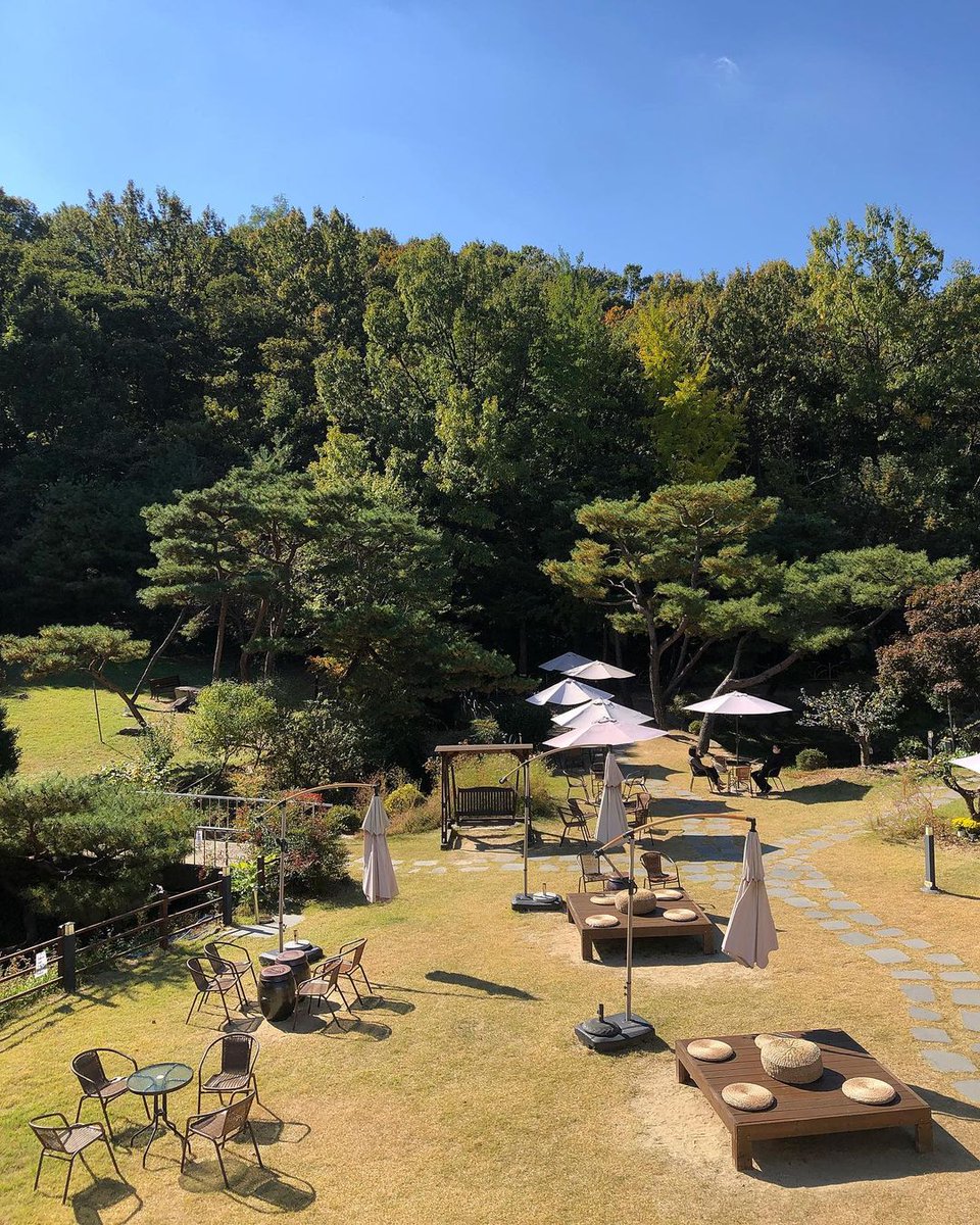 qiaoemiko's tweet photo. 大田で景色のいいカフェを見つけました!!!毎日ゴルフ場に行ってグリーンを見て、カフェで窓を開けてグリーンを見るのは違う感じがします。💚 https://t.co/AI74VNtfGF