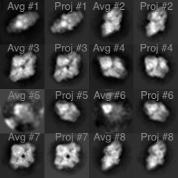 COSMIC CryoEM tweet media