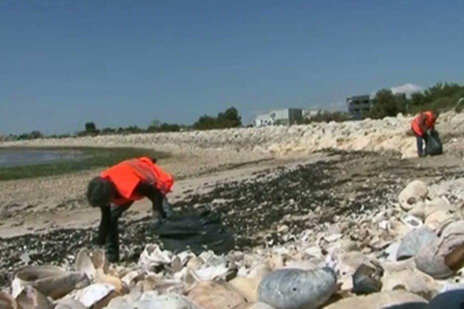 F3PoitouChtes's tweet image. L'association @Echo_Mer à #LaRochelle, collecte et revalorise les déchets, en pleine mer ou dans le port de la ville #CharenteMaritime #ocean #Environnement 
Plus d'infos 👉france3-regions.francetvinfo.fr/nouvelle-aquit…