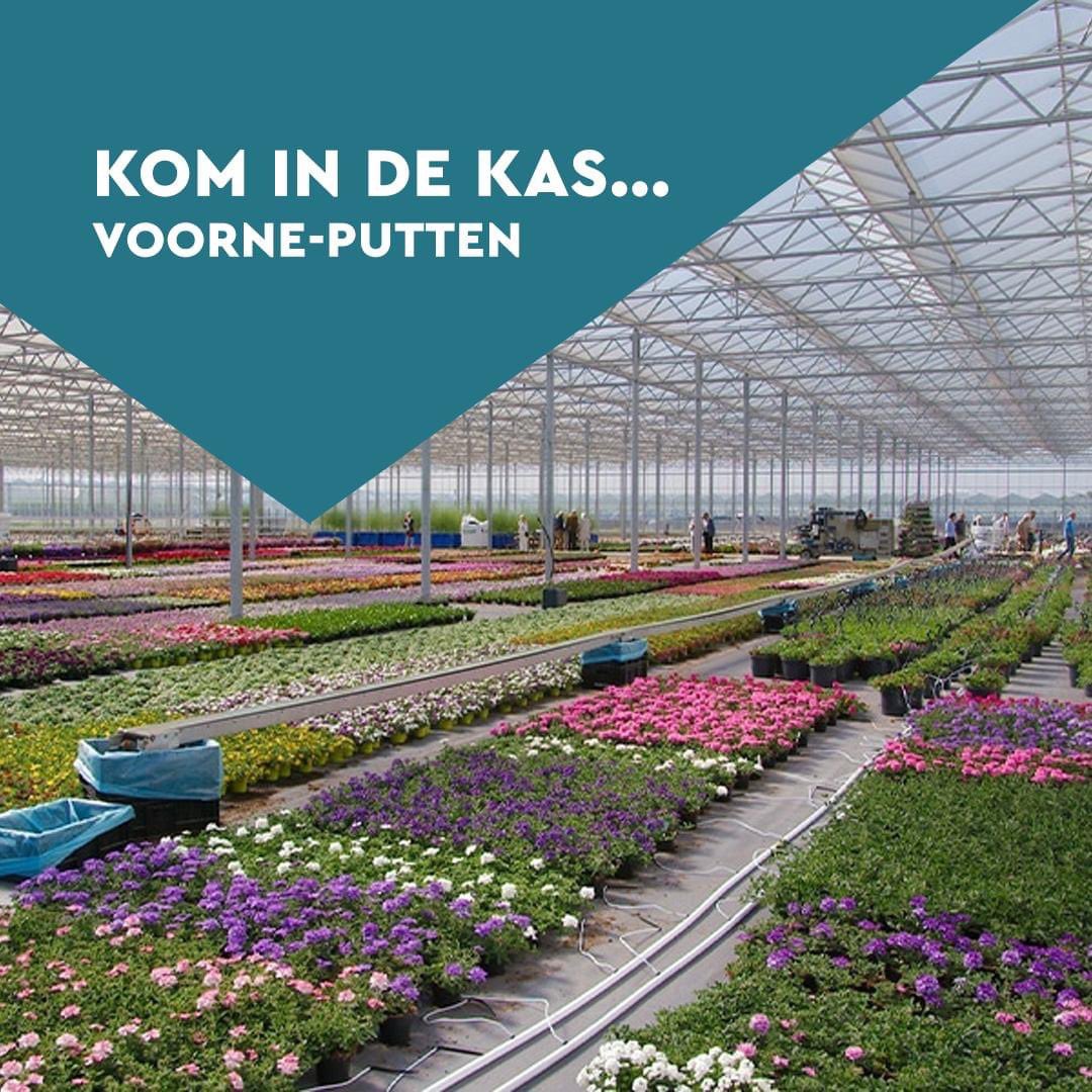 Morgen ook bij ons diverse mooie bedrijven te bezoeken van 10-16u #komindekas <a href="/OPVoornePutten/">OP Voorne-Putten</a>