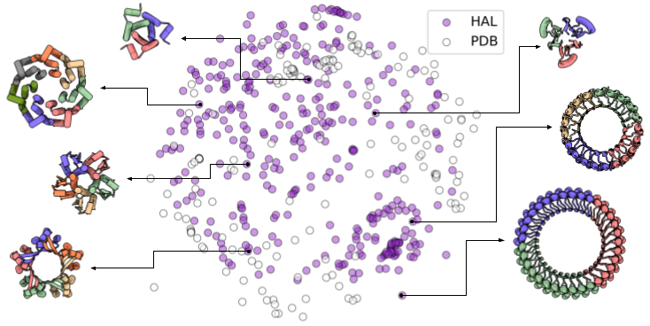 1/3 Excited to share our work on designing new protein assemblies w/ #AlphaFold hallucination and #ProteinMPNN. We validated 10 structures w/ up to 1550 residues and C33 symmetry. Work w/ @Milles_Lukas A. Courbet @RobertRagotte <a href="/JustasDauparas/">Justas Dauparas</a> et al.  biorxiv.org/content/10.110…