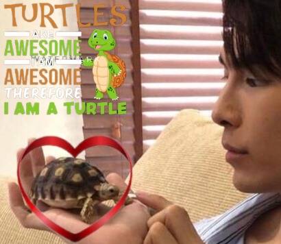 MandyFrster3's tweet photo. β€οΈπ§‘πππ’βοΈπ»ππππ
@Sunflower2811
@MSuppasit @gulfkanawut
#picoftheday #turtlelover #khunphi #yainong #beautiful #awesome https://t.co/w5HFRALQg4