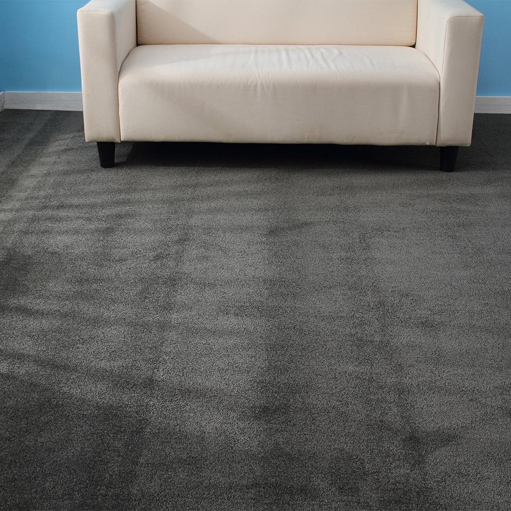 foxflorinc's tweet photo. Foxflor solid color carpet series, you can choose from a variety of colors and thicknesses, with cut pile technology, comfortable feet, very suitable for boutiques, homes.
 #foxflor #interiordesign #carpetdesign #hospitalitydesign #hotelcarpet #tuftedcarpet https://t.co/UCy0kf7bFs