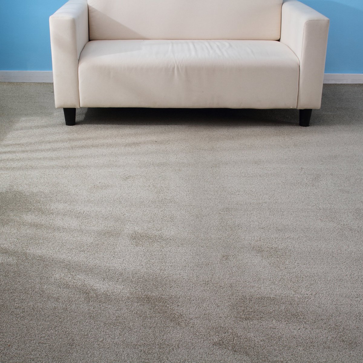 foxflorinc's tweet photo. Foxflor solid color carpet series, you can choose from a variety of colors and thicknesses, with cut pile technology, comfortable feet, very suitable for boutiques, homes.
 #foxflor #interiordesign #carpetdesign #hospitalitydesign #hotelcarpet #tuftedcarpet https://t.co/UCy0kf7bFs