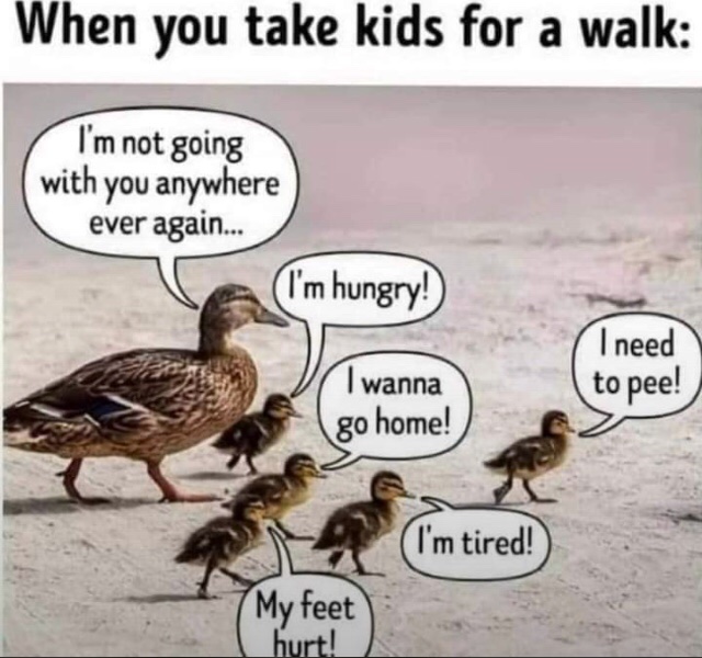 Tshepy_vee's tweet photo. Parenting https://t.co/OQY0Jhg55y