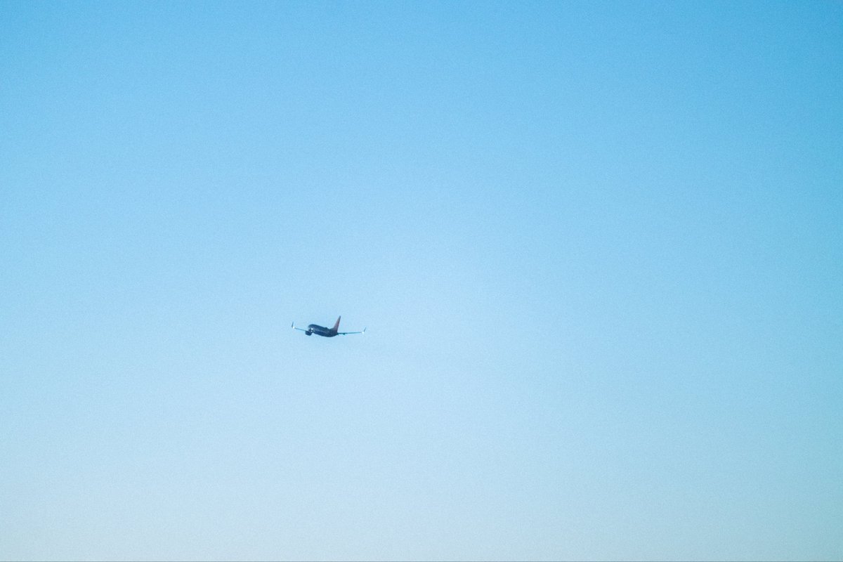 Polarizz tweet media