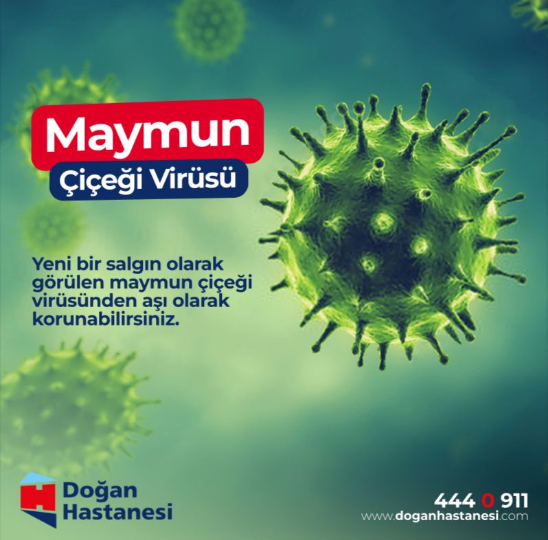 Maymun çiçeği (monkeypox), ilk olarak laboratuvar maymun kolonilerinde çiçek virüsü benzeri bir hastalığın ortaya çıkmasıyla keşfedildi. Bu nedenle hastalık “maymun çiçeği” adıyla tanımlandı.