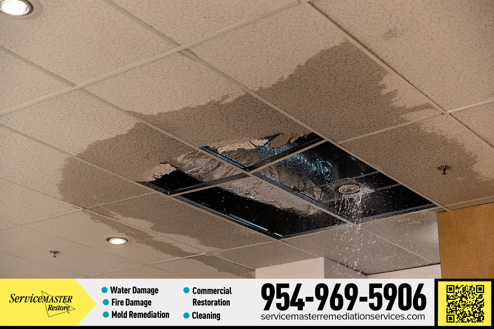 dmc_smaster's tweet photo. ➡ Call ServiceMaster at ☎️ (954) 969-5906
➡ Schedule an appointment online: https://t.co/evVnBPU8kD
 
#waterdamage #servicemaster #servicemasterremediationservices https://t.co/XbGe6NUP1w