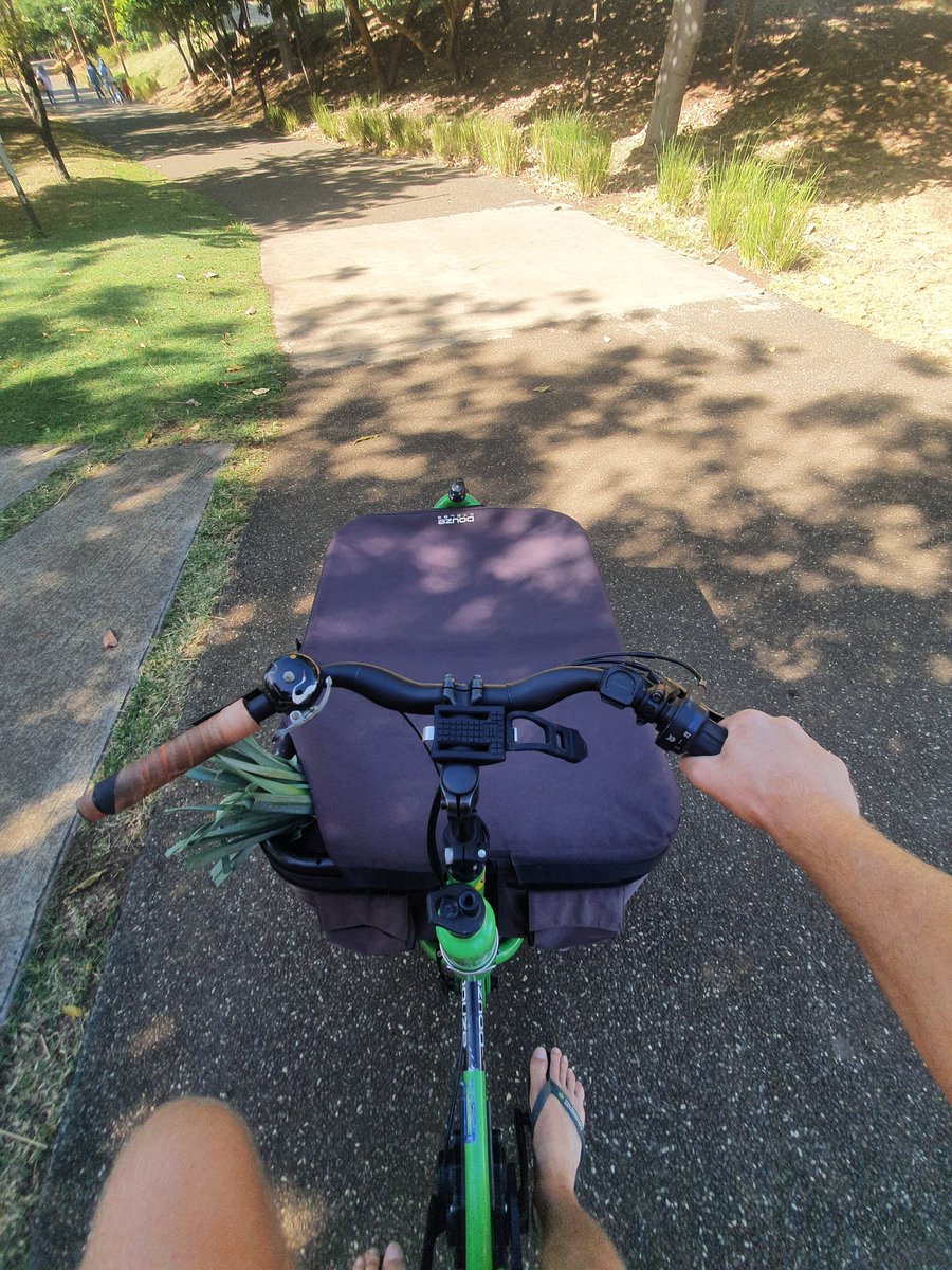 Paul_Rhone's tweet photo. #sellefie ce matin alors que je promenais mes poireaux en short et savates. Aucune maîtrise, c'était honteux.
#HDCCG #TeamPoireaux https://t.co/EOBgh3H5lo