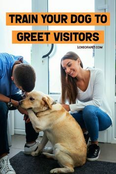 Brain Training for Dogs ➡ ift.tt/dhVfz2O

How to Train Your Dog to Greet Visitors. #TrainDog #GreetDog #DogVisitors #DogGreetGuests #DogGreetVisitors #TeachDogToGreetVisitors