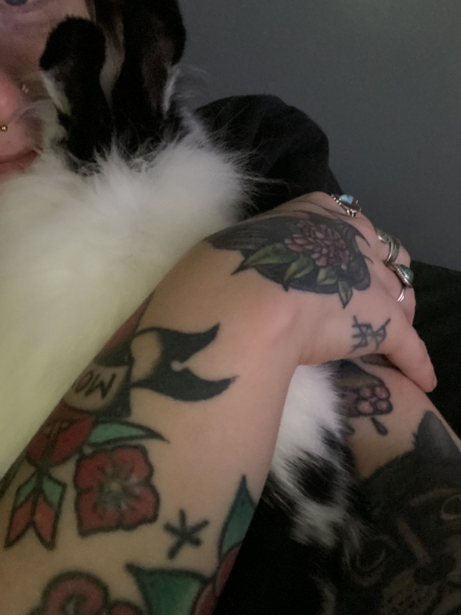 JODANDUHHUT's tweet photo. This little shit wasn’t getting enough attention from me so he bit a hole in me shirt. All he wanted was some cuddles, I guess. https://t.co/kF59i5tFFY