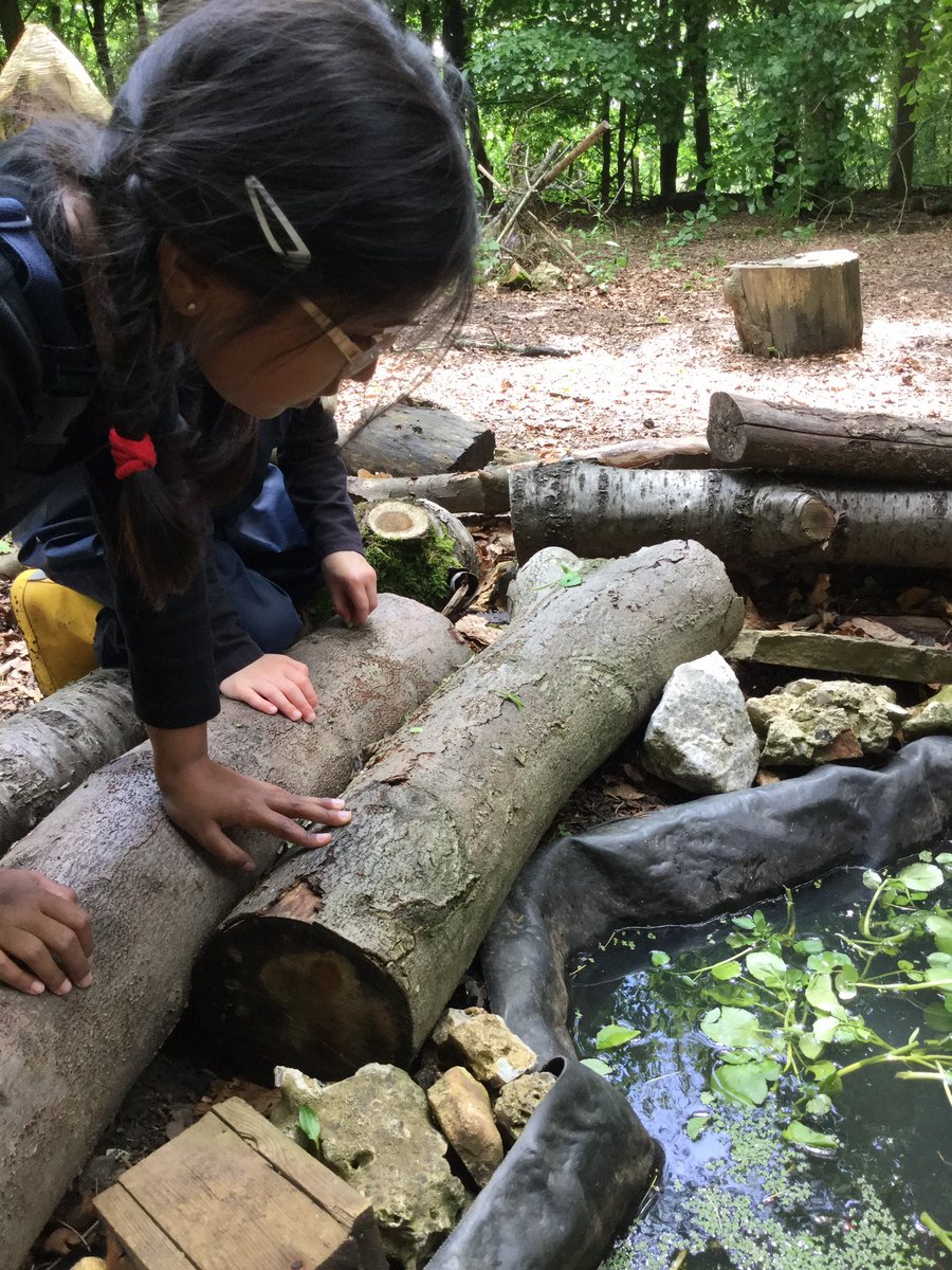 PipersForestSch's tweet image. Reception @PipersPrePrep had a busy afternoon feeding our tadpoles 🐸 and putting baby caterpillars 🐛 into their individual feeding pots. It’s wonderful to watch everything growing. #summer #PipersOutdoors #Pipersforest #forestfun
