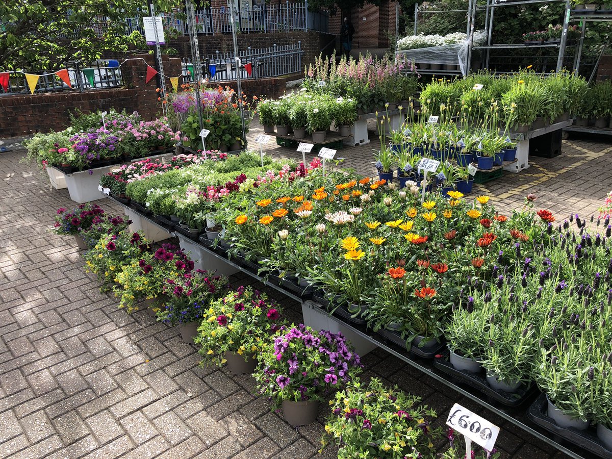 Opportunity Dorking tweet media