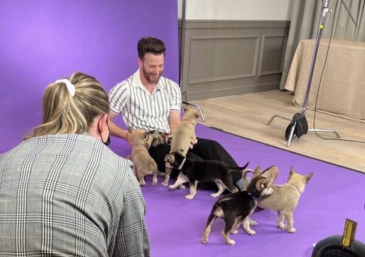 safeevansstans's tweet photo. CHRIS EVANS FOR THE PUPPY INTERVIEW https://t.co/Jlzl5vSRr8