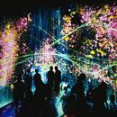 LeftHandedLab's tweet image. Introduzione
L’impetuoso sviluppo legato alla diffusione delle tecnologie informatiche e digitali ha favorito il passaggio dall’economia tradizionale a un nuovo tipo di economia, legata alla struttura della rete e basata sull’informazione e la conoscenza.
Le aziende... #iusve #iu