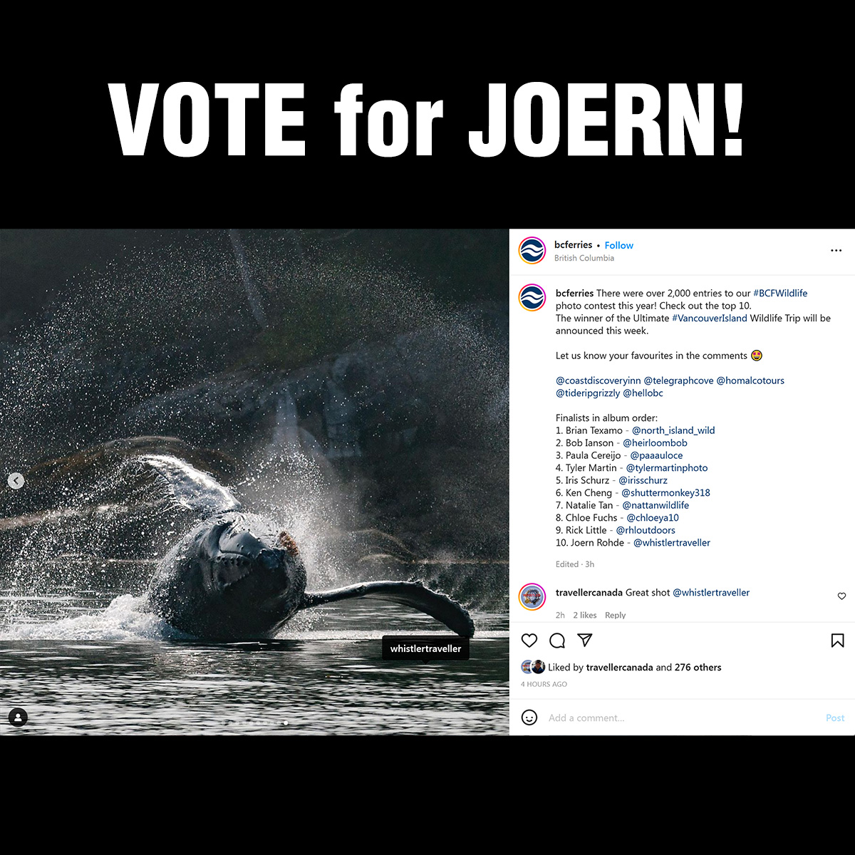 This amazing capture at #RiversInlet by our very own #photog @whistlertraveller #JoernRohde - #JoernRohdePhotography is in the #Top10 finalists in <a href="/BCFerries/">BC Ferries</a> #bcwildlifephotocontest2022. 
Go to <a href="/BCFerries/">BC Ferries</a> on #instagram or the #facebookpost and comment to like/vote for his photo!