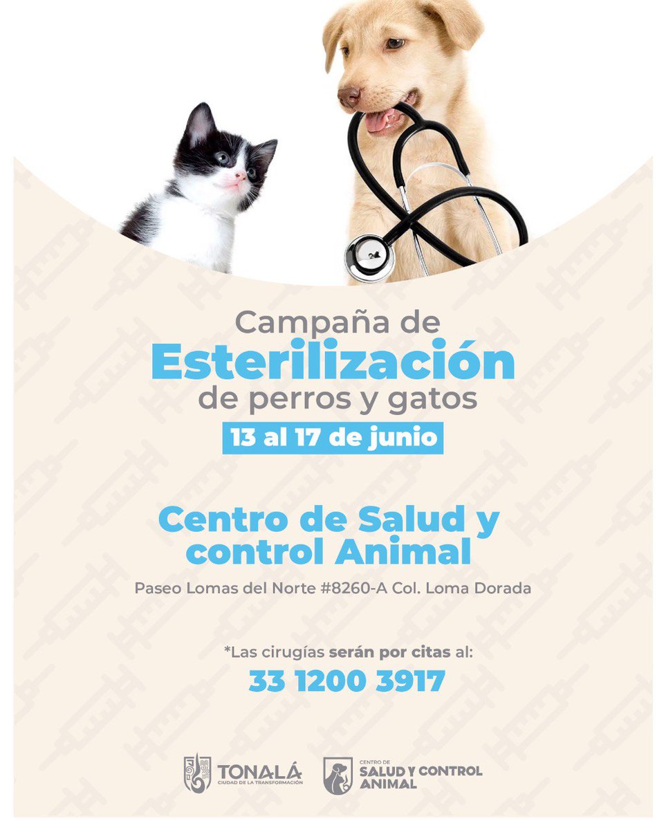 Querés llevar a tu perro a una primera cita? El secreto para que te vaya  bien - Ohlalá, image size:963x1200