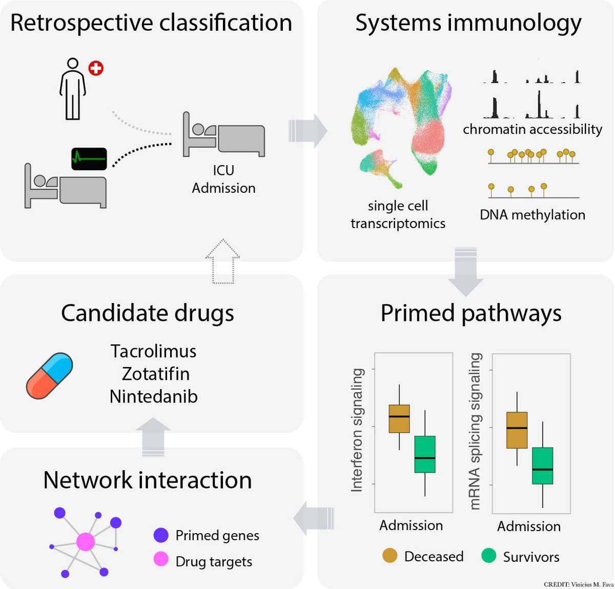 Science Magazine (@sciencemagazine) on Twitter photo A new small study in <a href="/ScienceAdvances/">Science Advances</a> has identified three drugs that could potentially reduce mortality in severely ill patients with #COVID19. fcld.ly/kx5fcf6 A new small study in <a href="/ScienceAdvances/">Science Advances</a> has identified three drugs that could potentially reduce mortality in severely ill patients with #COVID19. fcld.ly/kx5fcf6