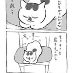 人間には分からないこだわりがある？椅子の上でくつろぐ猫の一連の行動を描いた漫画が話題に!