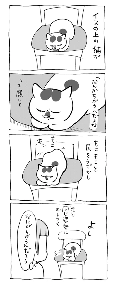 人間には分からないこだわりがある？椅子の上でくつろぐ猫の一連の行動を描いた漫画が話題に！