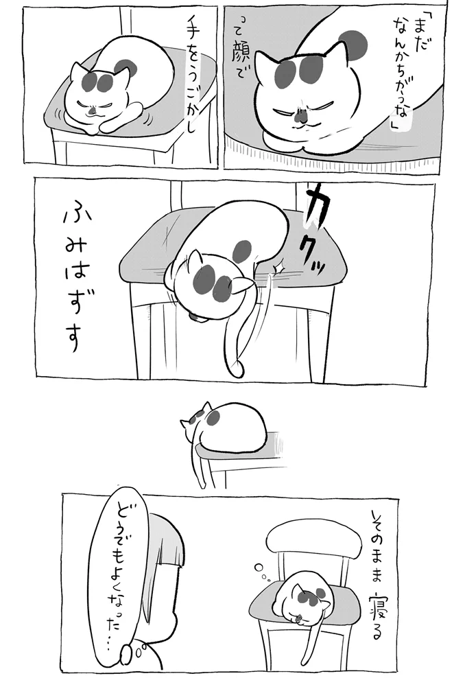 人間には分からないこだわりがある？椅子の上でくつろぐ猫の一連の行動を描いた漫画が話題に！